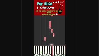 Für Elise  BEETHOVEN  PIANO FINGERED 4all [upl. by Notsuoh]