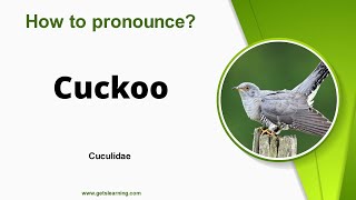 How to pronounce Cuckoo in English Correctly [upl. by Akcire]