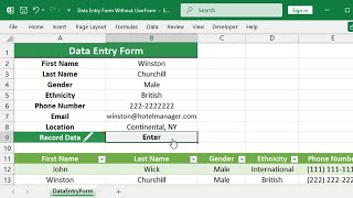 Excel Data Entry Form without UserForm [upl. by Aleunam]