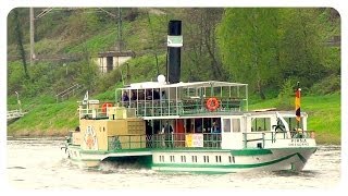 Schaufelraddampfer  PD Pirna  sächsische Dampfschiffahrt  historic paddle steamer [upl. by Ainotahs]