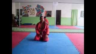 Curso Completo de Jiu Jitsu para iniciantes parte 1935 [upl. by Godrich935]