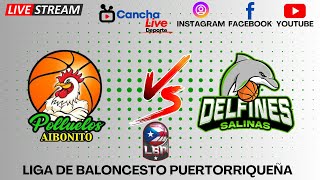 Polluelos de Aibonito LBP 🆚 Delfines de Salinas LBP 🏀 Liga de Baloncesto Puertorriqueña [upl. by Rog725]