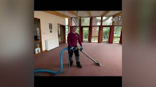 carpet and upholstery cleaning [upl. by Kcub]