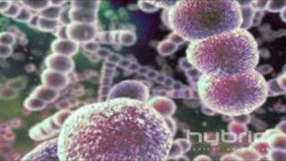 Streptococcus Pneumoniae Hybrid Medical Animation [upl. by Sera297]