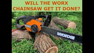 WORX 18quot Chainsaw Review  Model WG3041  15 AMP ELECTRIC [upl. by Essirehs]