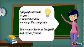 Le féminin des noms et des adjectifs [upl. by Renate]