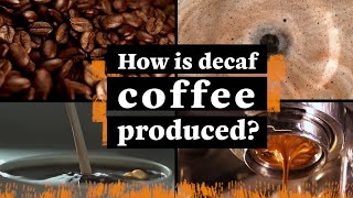 How Is Decaf Coffee Made [upl. by Lona360]