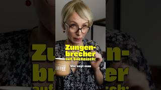 Zungenbrecher auf Sächsisch 🤣 comedy dialekt sachsen [upl. by Slavin150]