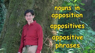 Appositives or Nouns in Apposition  Meaning Use and a Memory Trick  Ask Cozy Grammar [upl. by Aiksa]