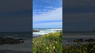 Relaxing Spring Day Ambience  Beautiful Beach  Ocean Sounds oceanwaves stressrelief relaxation [upl. by Barmen]