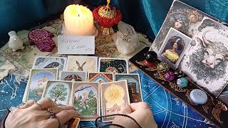 🎀🌖NOVOLUNÍ 662024  krátké ale důležité vzkazy pro 12 znamení🌖🎀tarot karty znamenílove luna [upl. by Dibbell314]