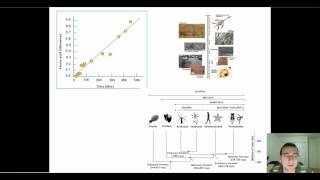 Molecular Clocks Part 1 [upl. by Lissak]