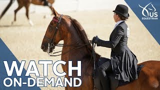 Saddle Seat World Cup Highlights [upl. by Krock]