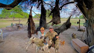 INCREIBLE CAZA con PERRO CHANCHOS SALVAJES🐗🐕 [upl. by Uziel]