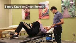 Wellstar OrthoSport How to Stretch for Sciatica Pain Relief [upl. by Drauode]