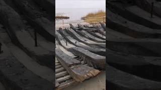 After storm in the Baltic Sea an ancient shipwreck of the17th century washed ashore ship history [upl. by Marrin379]