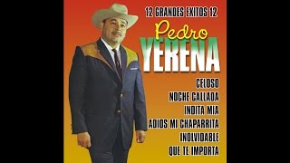 Pedro Yerena  Celoso [upl. by Buchbinder]