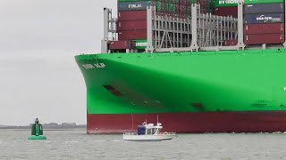 EVER ALP  400m 23992teu containership departs Port of Felixstowe 🇬🇧 10824 [upl. by Goldfarb]