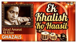 Ek Khalish To Haasil  Ustad Amanat Ali Khan  Evergreen Romantic Ghazals  Nupur Audio [upl. by Allemrac1]