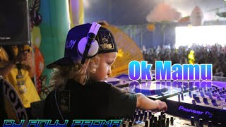 CHAND WALA MUKHDA LEKE ★ HARD MIX  Ok Mamu  DJ ANUJ PADMA [upl. by Ardnaiek]