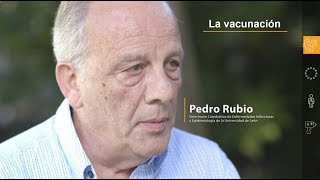 Ileítis Porcina Pedro Rubio explica la vacunación frente a Lawsonia intracellularis [upl. by Ahsal]