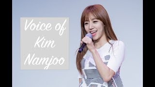 Apink Kim Namjoos High NotesAdlibsVocals [upl. by Morgenthaler869]