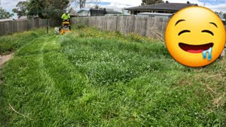 Perfect Mowing of Backyard Meadow [upl. by Oigres]