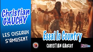 Essai le Country Christian Gauchy Les Oiseaux samusent Country [upl. by Sapienza556]