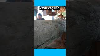 kayu keruing vs Meranti merahsawmillindonesia [upl. by Marsiella]