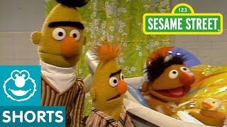 Sesame Street Bert And Ernie Water Sports [upl. by Ayanet800]