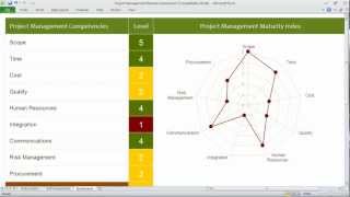 Project Management Maturity Assessment [upl. by Mide]