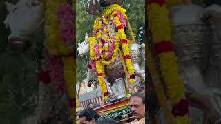 Pradosham dharshan  Agatheeswarar temple🛕  Villivakkam 🙏🏻 [upl. by Suoiluj]