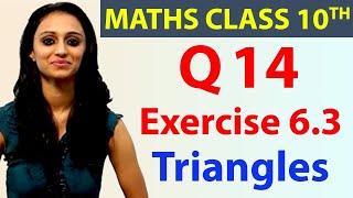 Q 14 Ex 63 Triangles Chapter 6 Maths Class 10th  NCERT [upl. by Norm]