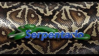 Serpentario [upl. by Marmawke]