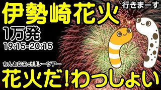 伊勢崎花火ライブ 行きまーす 花火だ！わっしょい！1915ｰ2015 ちんあなごchリレーツアー 【ちんあなご＆女将さん】目指せ100ヶ所 みんなでにょろや20230806 [upl. by Suehtomit]