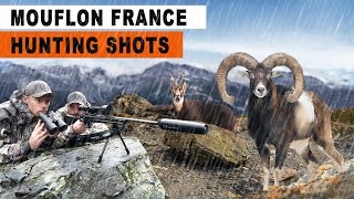 Chasse au Mouflon  Chamois  France 2024 [upl. by Elaen]