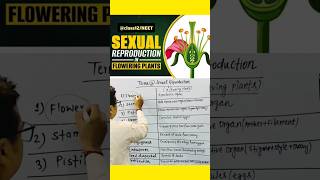 Sexual reproduction in Flowering plants neet ncertbiology angiosperms [upl. by Ireland]