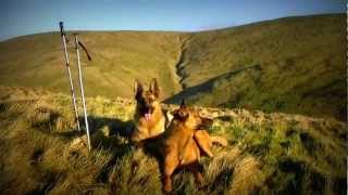 Ochil Hills Glen TyeWallace Stone  Aeroplane Crash Memorial [upl. by Tongue]