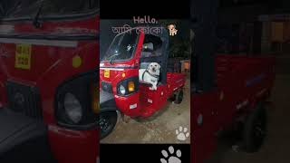 গনগনি রয়েল রেসিডেন্সি তে আমি CoCo 🐕 ganganiroyalresidency garhbeta gangani hotel [upl. by Annabell]