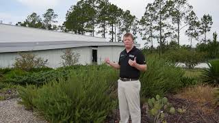 Green Roofs Gainesville Regional Utilities Eastside Campus [upl. by Mellie17]