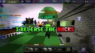 BLOCKMAN GO HACKS RELEASED Download in the description  Block Mods BLOCKMAN GO bgtuber [upl. by Philip]