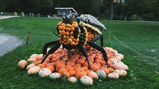 Pumpkin festival in Ludwigsburg Germany [upl. by Lussier]