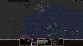 Warlords Battlecry 3  1v1  Baśniowa Istota Cinek vs Mroczny Elf Edvin [upl. by Ganiats22]