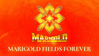 Marigold Fields Forever Review [upl. by Mairym]