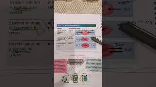 hypertonic and hypotonic biologypoli11biologygrade11 [upl. by Hollie]