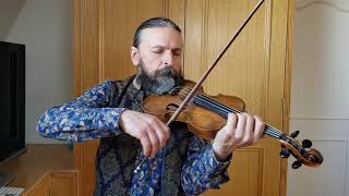 Las hojas muertas Sasha Gryzlov violin cover [upl. by Stronski]