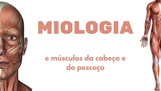 Introdução à Miologia e músculos da cabeça e do pescoço [upl. by Eugenie]