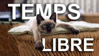 TEMPS LIBRE  PAROLE DE CHAT [upl. by Danzig]