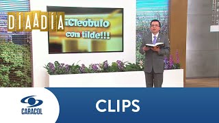 ¿Por qué es inútil marcar la tilde en los demostrativos este ese y aquel  Caracol TV [upl. by Oratnek254]