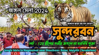 বনবিবি পূজা  Sundarban Jungle Mela  Maipith West Bengal  Shanibarer Bazar  Nagenabad  India [upl. by Weil]